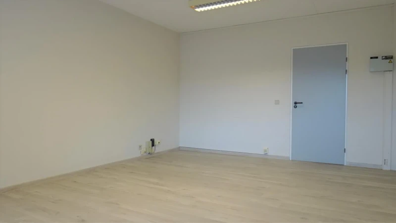 Tienen